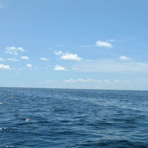 Meet your Posher, Clara